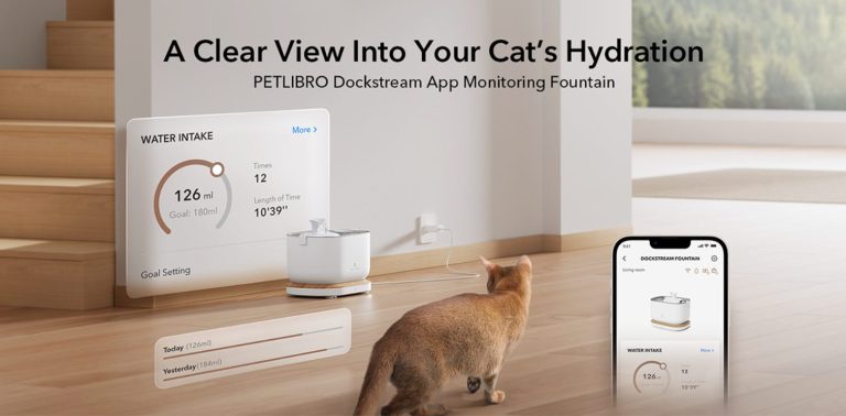 PETLIBRO Dockstream App Monitoring Cat Water Fountain: A Smart Solution for Hydrated Felines